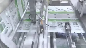 Envasadora de bolsas en rollo para sal