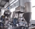 Envasadora de bolsas prefabricadas (llenado con 1 boquilla, 5 estaciones)
