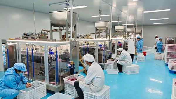 Proyectos de clientes