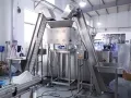 Envasadora de bolsas prefabricadas, llenado con 2 boquillas