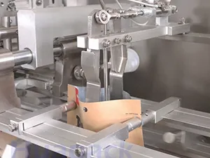 Envasadora de bolsas prefabricadas, llenado con 1 boquilla