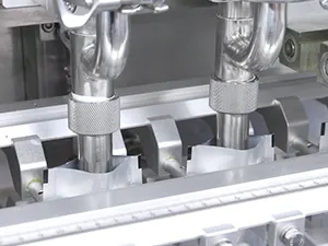 Envasadora horizontal de bolsa stand up con spout, llenado con 2 boquillas